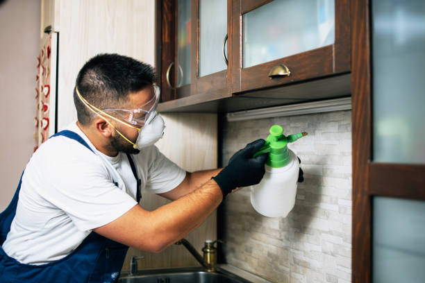 Reliable Avilla, AR Pest Control Solutions