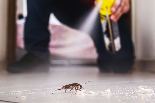 Pest Control Cost in Avilla, AR
