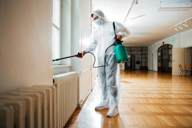 Best Best Pest Control Companies  in Avilla, AR