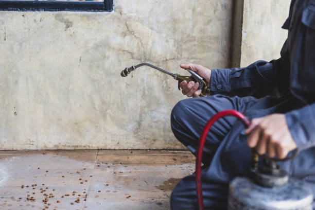 Best Best Pest Control Companies  in Avilla, AR